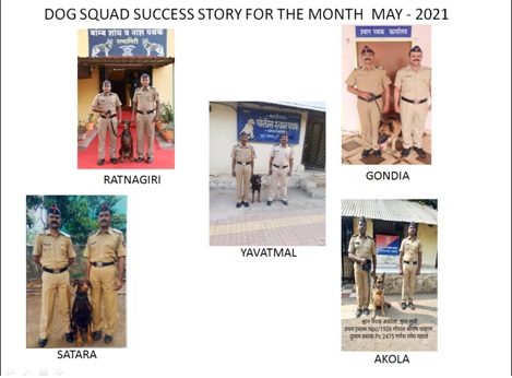 Story Image