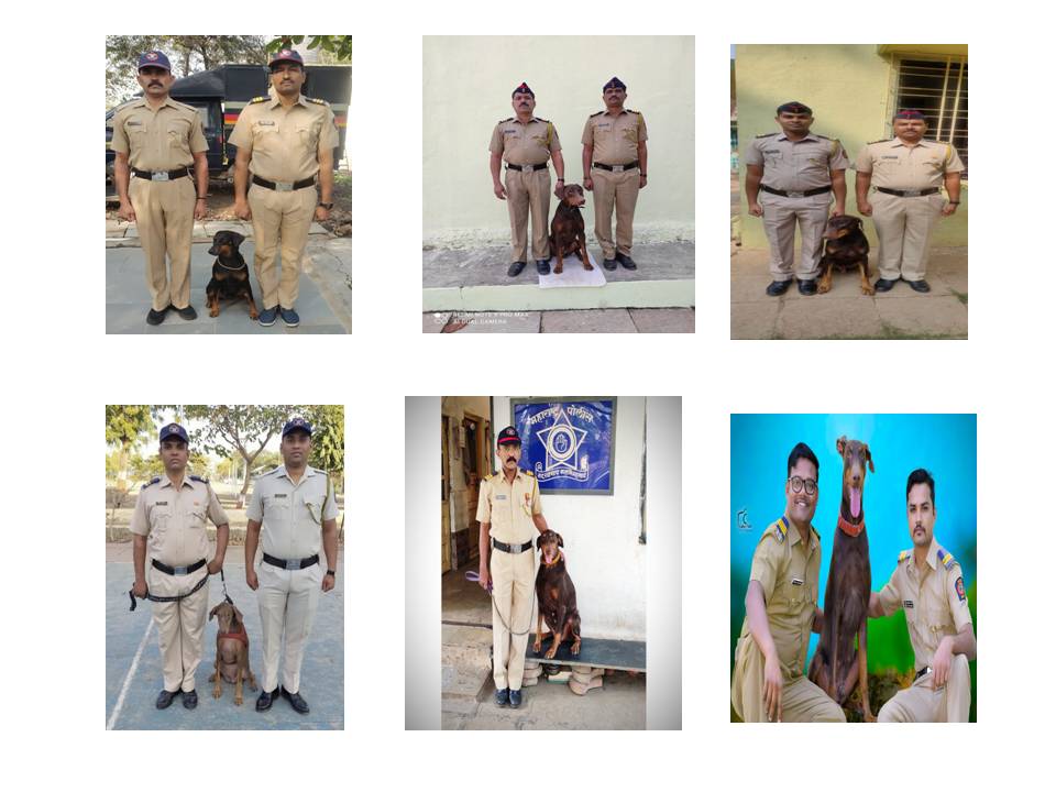 Story Image